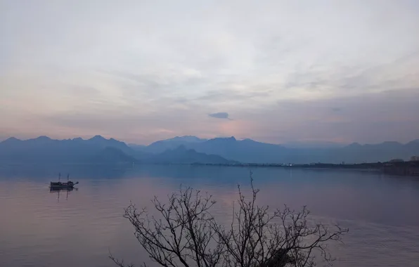 Relax, calm, calm, Turkey, pixel 4a