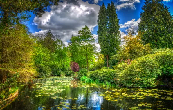 Picture greens, grass, clouds, trees, pond, Park, England, treatment