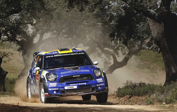 Auto, Blue, Trees, Sport, Race, Mini Cooper, WRC, Rally