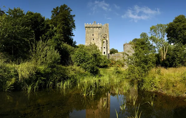Pond, castle, Ireland