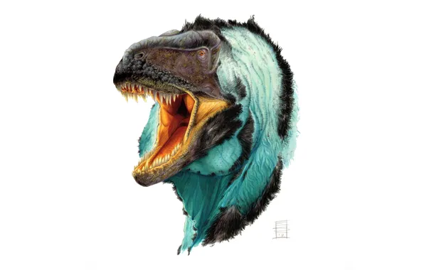 Face, dinosaur, wool, mouth, fangs