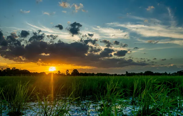 The sky, clouds, landscape, sunset, nature, river