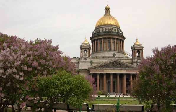 Spring, Peter, St. Isaac's Cathedral