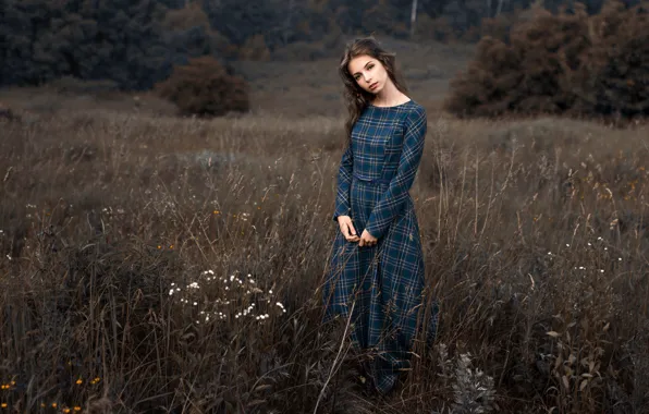 Field, dress, Tanya, Forest Albert