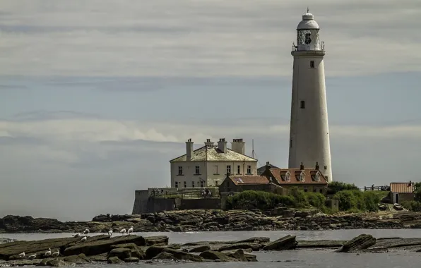 Lighthouse, England, England, United Kingdom, Seaton Sluice, Saint Mary's Lighthouse, Hartley beach