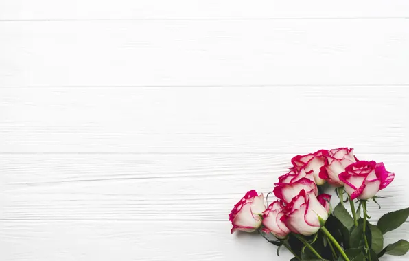 Picture flowers, background, roses, bouquet