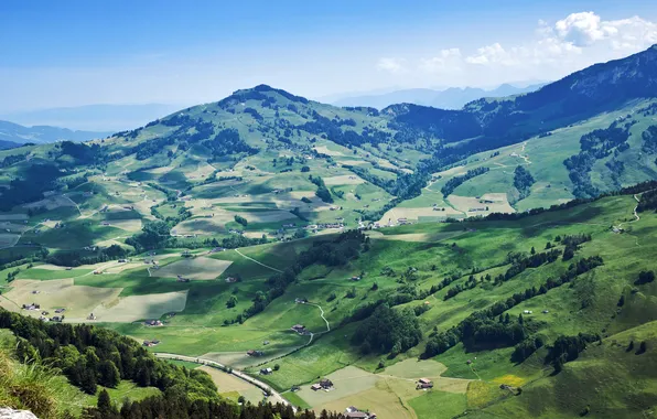 Greens, forest, the sky, landscape, mountains, nature, valley, village