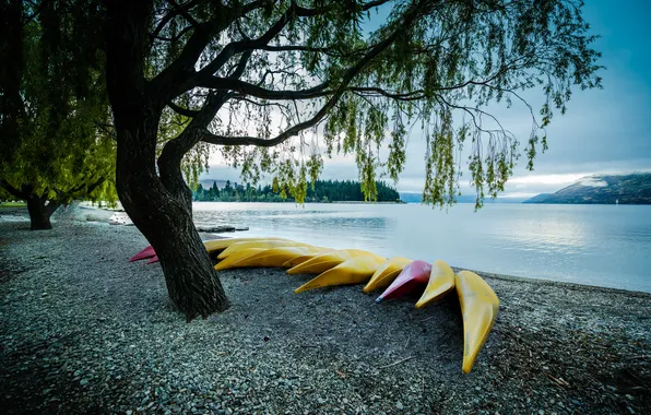 Beach, trees, lake, kayaks