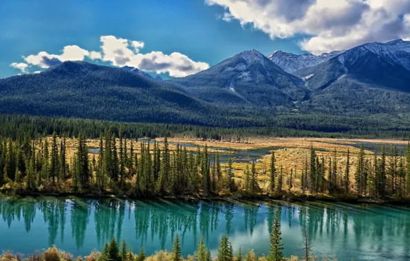 Trees, mountains, valley, Canada, Albert, Alberta, Canada, the bow river