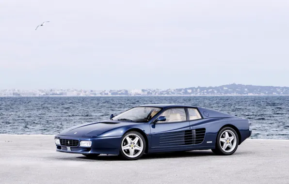 512, Cheetah, Ferrari, seagulls