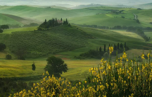 Flowers, hills, field, Italy, house, meadows, cypress, Tuscany