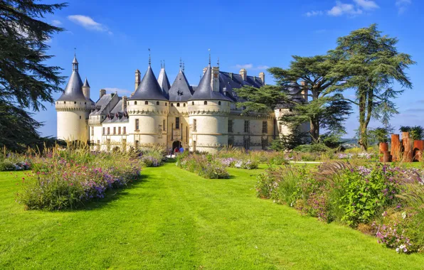 Flowers, castle, France, lawn, Chaumont-sur-Loire castle