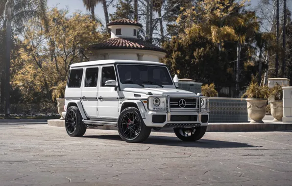 Picture Mercedes Benz, AMG, White, G63