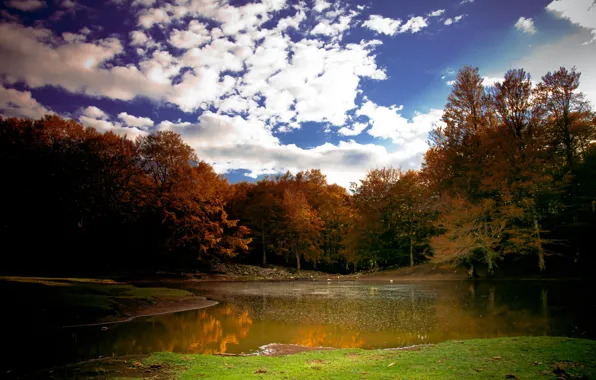 Picture The sky, Clouds, Autumn, Lake, Clouds, Sky, Fall, Autumn