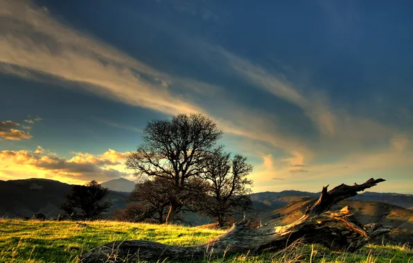 The sky, clouds, trees, hills, snag