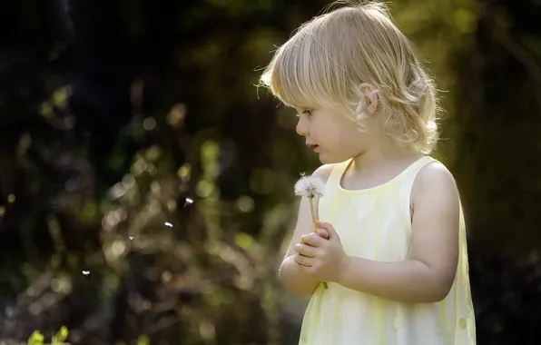 Picture summer, dandelion, girl