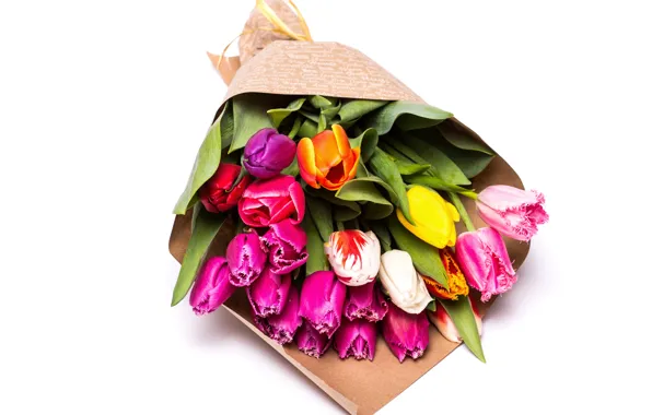Flowers, yellow, tulips, pink, Tulips, multicolored, Bouquets