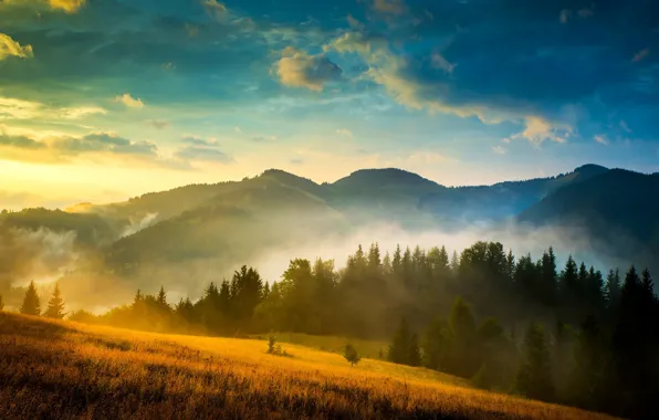Picture forest, the sky, clouds, trees, mountains, fog, meadow, tree