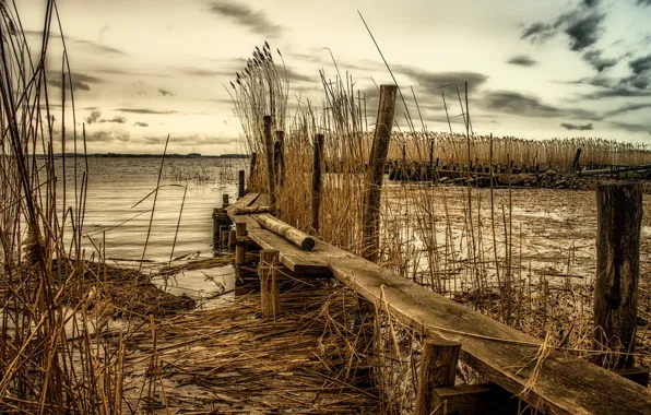 Landscape, bridge, river, reed