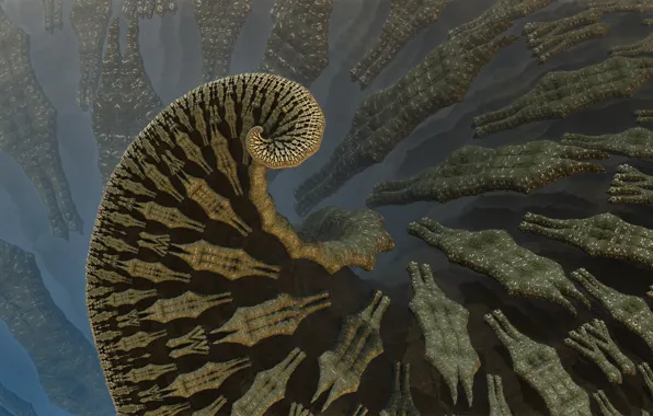 Pattern, curl, 3D graphics