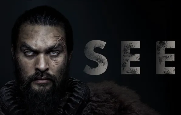Picture the series, Jason Momoa, Jason Momoa, See, To see