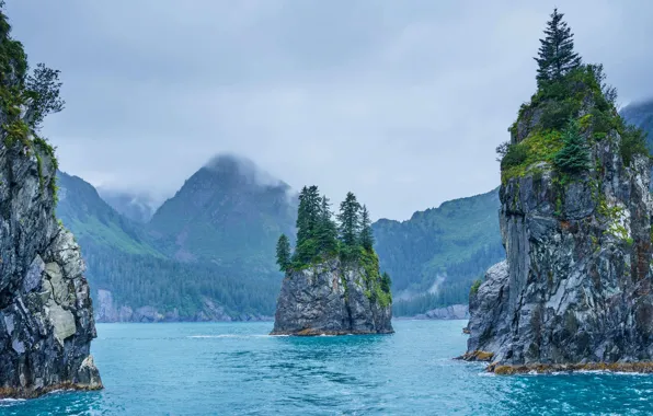 Alaska, USA, Kenai Fjords National Park, Cove of Spires