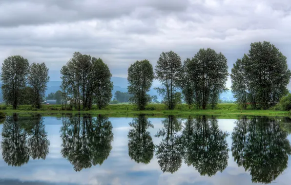 Picture the sky, clouds, trees, river, Canada, Canada, British Columbia, Pitt Meadows
