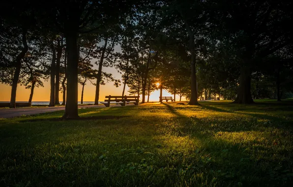 Landscape, Park, morning, bench