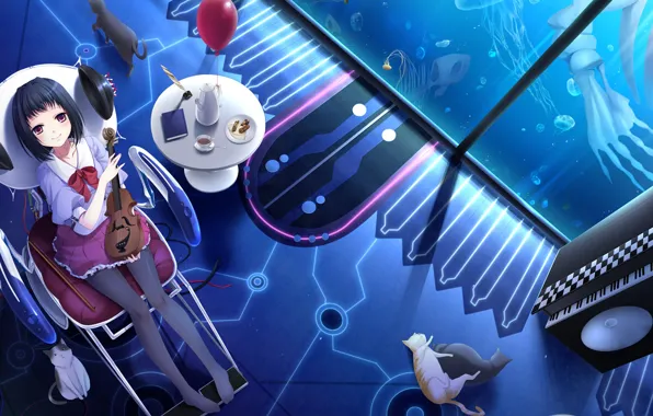 Cats, room, violin, aquarium, girl