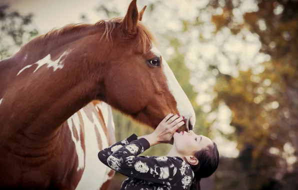 Autumn, look, girl, light, nature, pose, Park, horse
