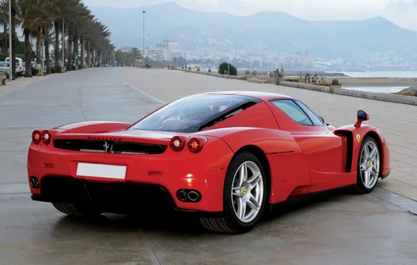 Palm trees, rear view, ferrari enzo, Enzo, ferrarini (