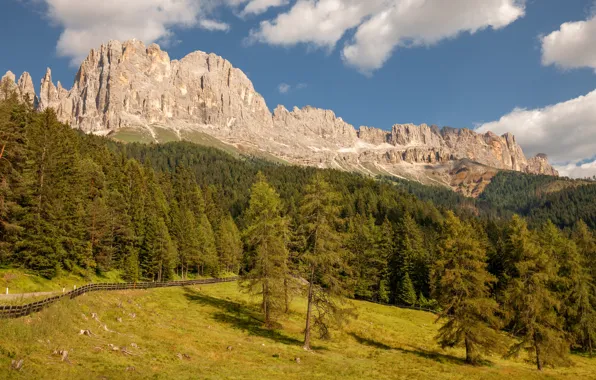 Forest, the sky, clouds, trees, mountains, rocks, tops, the fence