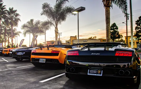 Picture Lamborghini, gallardo, murcielago, supercars, aventador