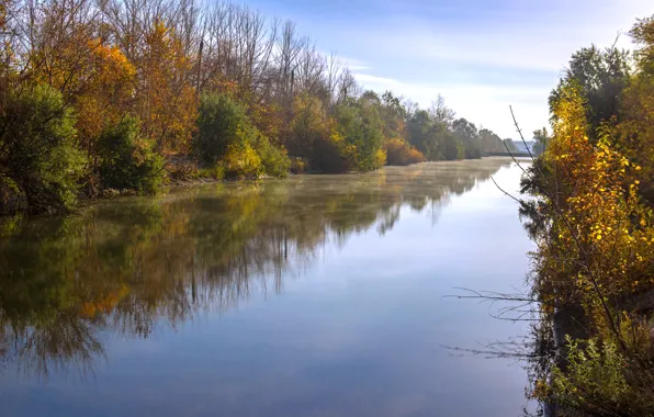 Autumn, trees, river