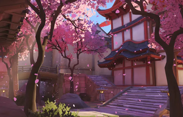 Sakura, Overwatch, rarawa