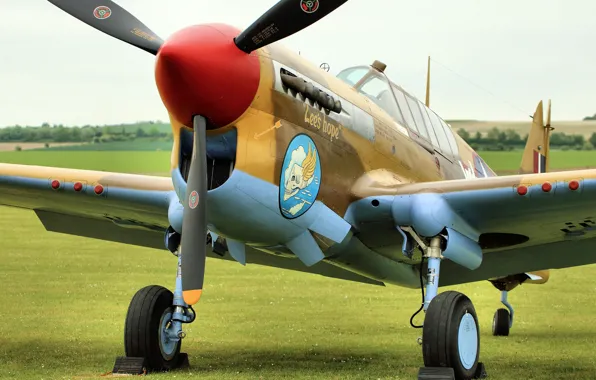 Picture fighter, the airfield, Warhawk, P-40F