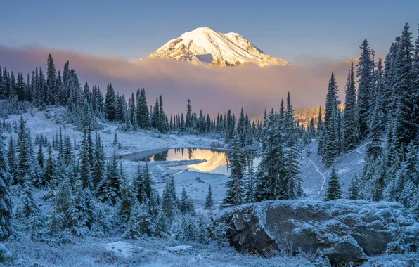 Picture landscape, mountains, ate, USA, Mount Rainier