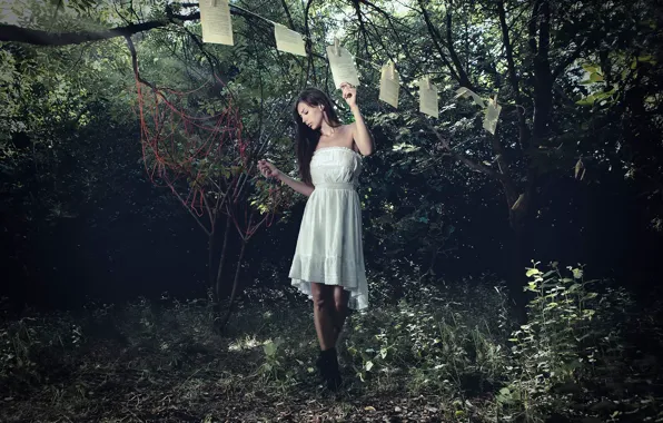 Picture girl, paper, dress, leaves, clothespins, The Journey