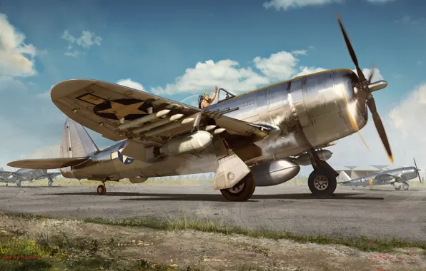 Picture Thunderbolt, UNITED STATES AIR FORCE, fighter-bomber, P-47, Republic, war thunder