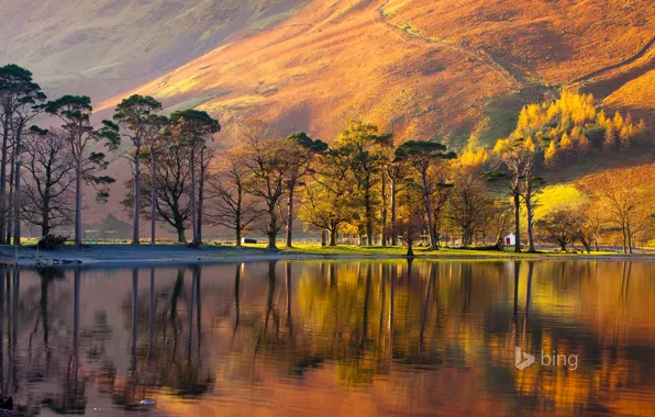 Picture trees, sunset, lake, house, England, mountain, slope, National Park lake district