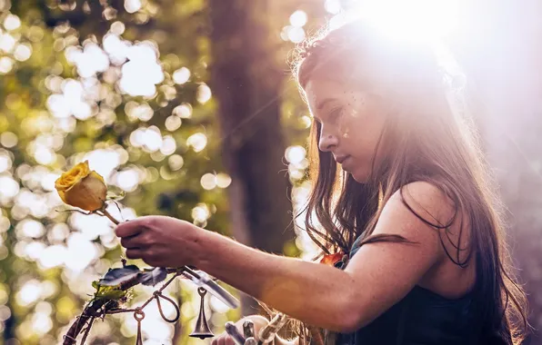 Girl, light, roses