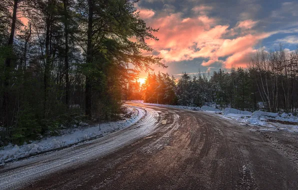 Winter, road, forest, sunset