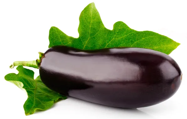 Picture leaves, eggplant, white background