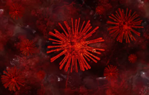 Macro, red, rendering, background, model, color, form, virus