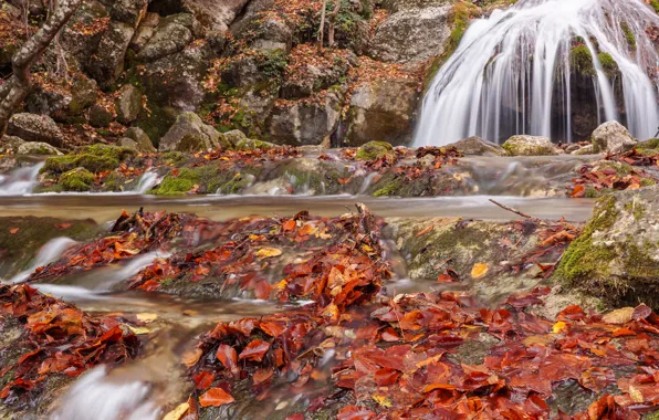 Picture autumn, leaves, waterfall, colorful, nature, autumn, leaves, waterfall