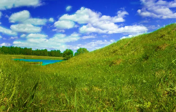 Picture The sky, Grass, Butterfly, River, Panorama, Summer, Birds