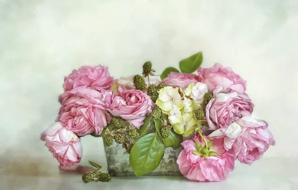 Leaves, flowers, berries, background, roses, bouquet, art, pot