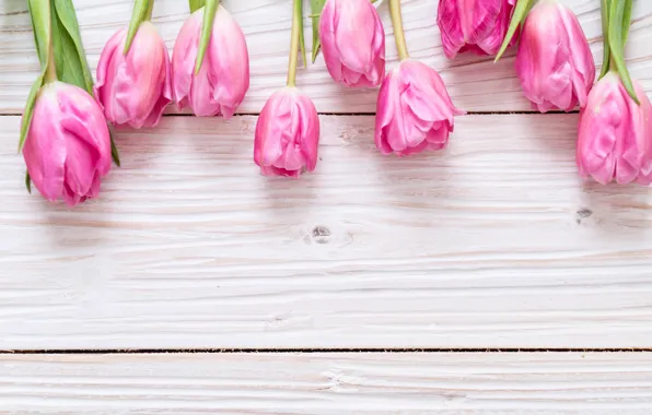 Picture flowers, tulips, pink, fresh, wood, pink, flowers, tulips