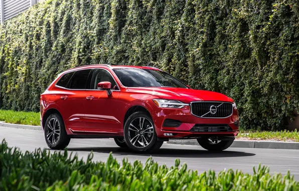 Road, car, machine, Volvo, red, side, red car, wheel