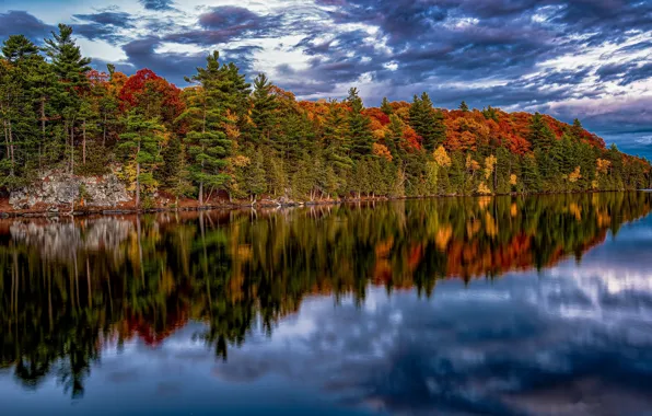 Picture autumn, Ontario, Whitewater, Garden of Eden